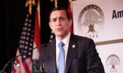 داريل عيسى: لبنان يدخل مرحلة جديدة عنوانها السيادة والاستقرار